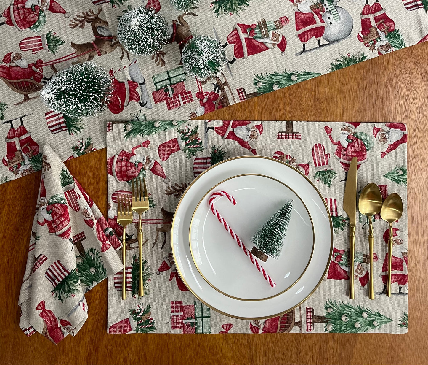 CAMINO SANTA NAVIDAD