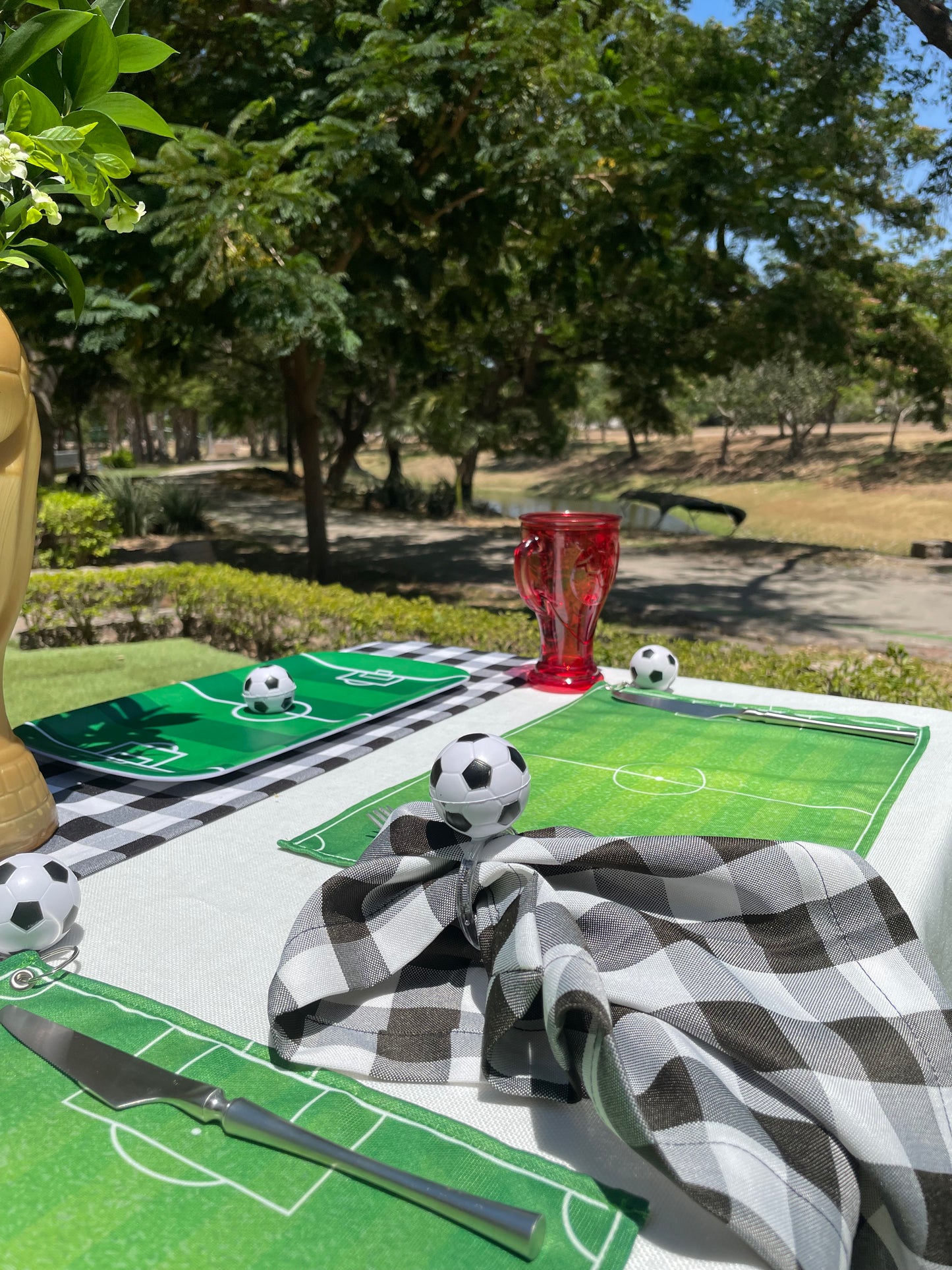 6 Servilletas cuadros