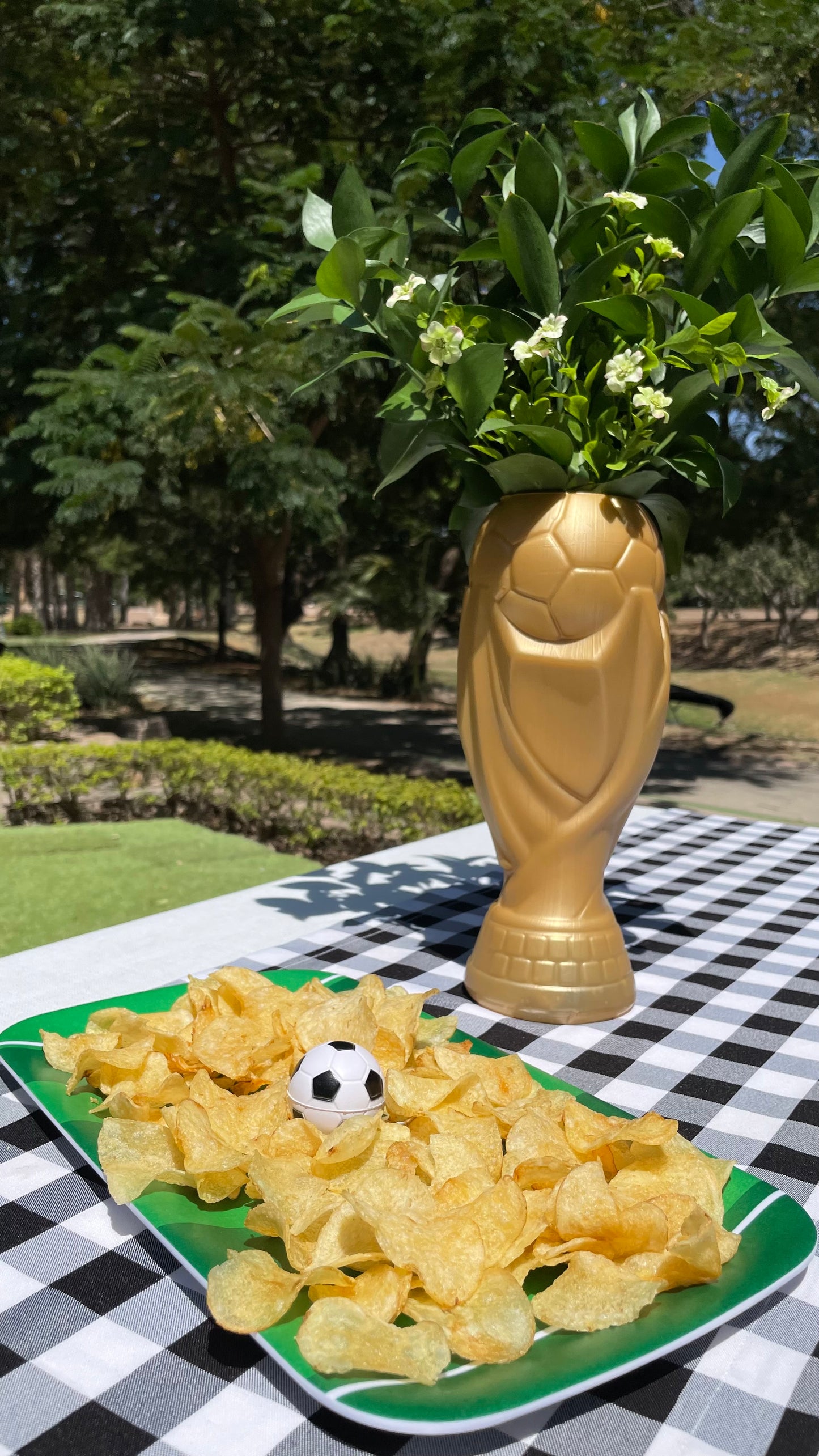 Copa del mundo