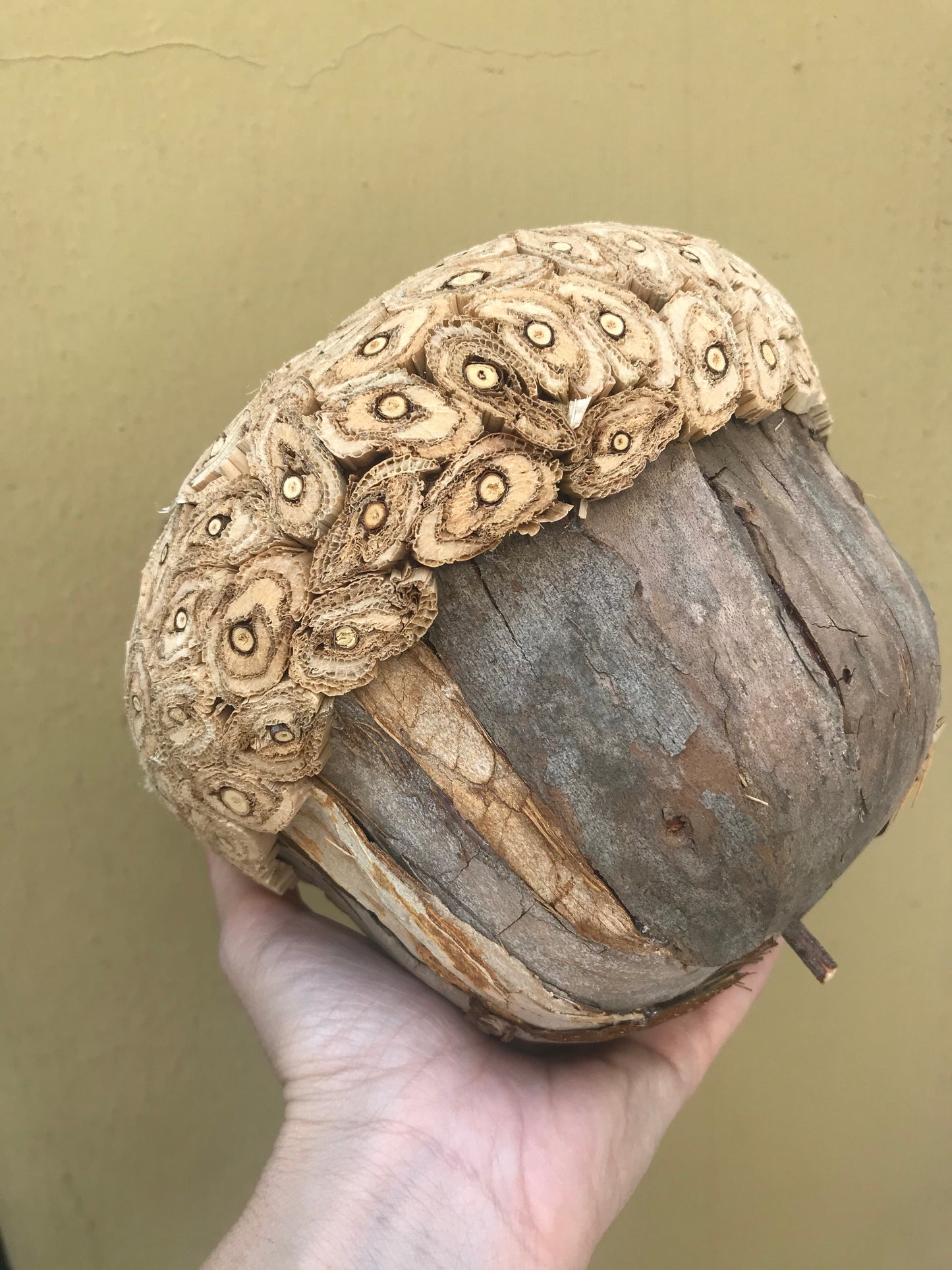 ACCESORIO NAVIDEÑO BELLOTA