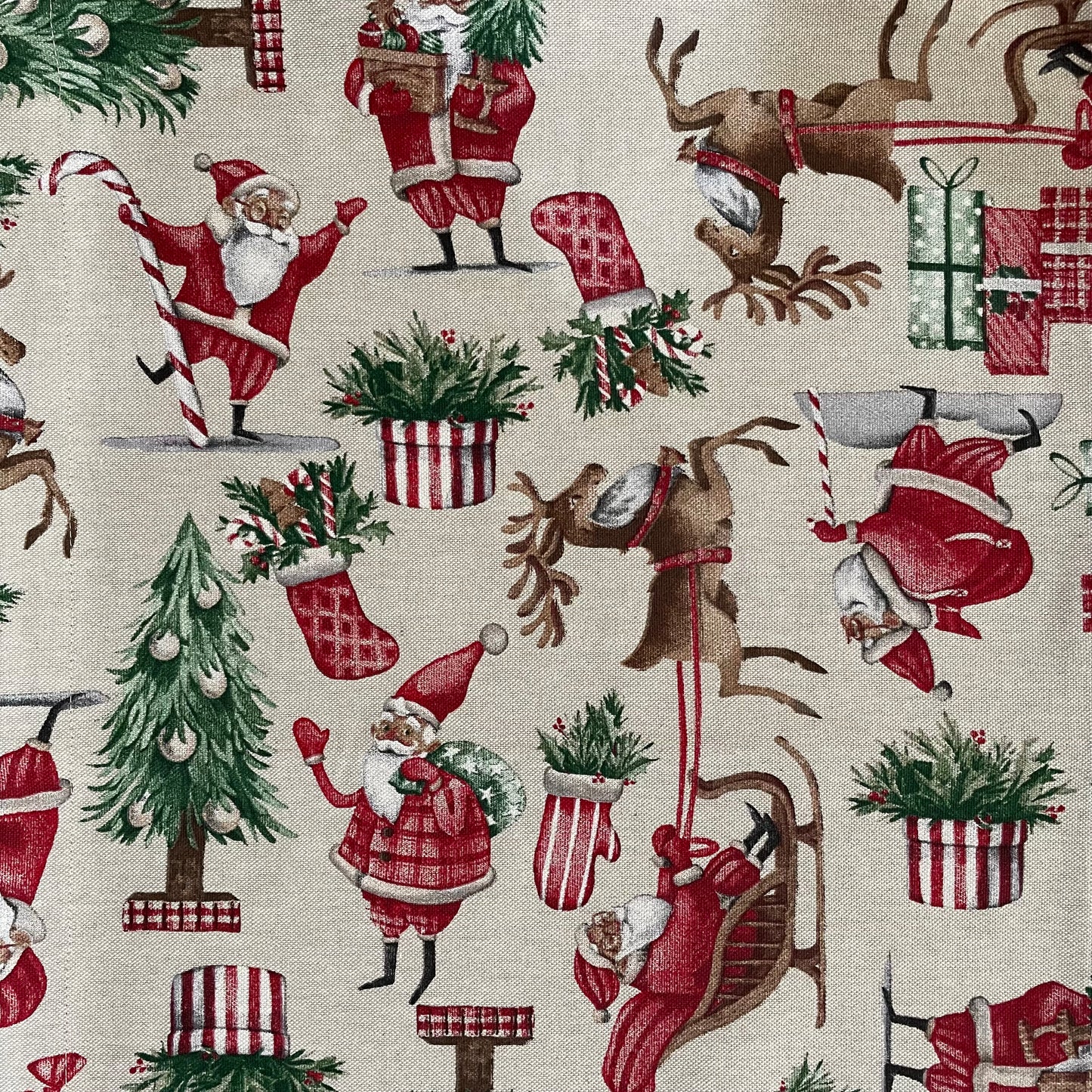 CAMINO SANTA NAVIDAD