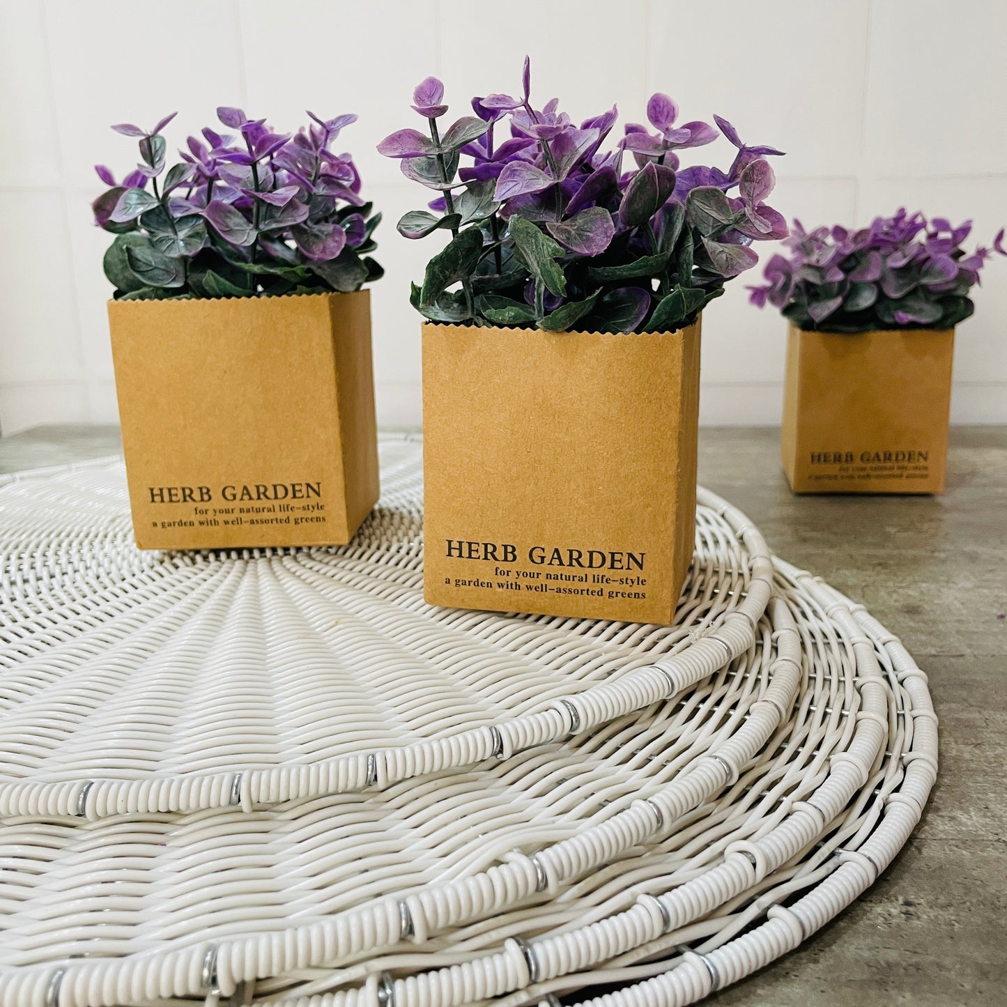 MINI MACETA GARDEN (2PZ)