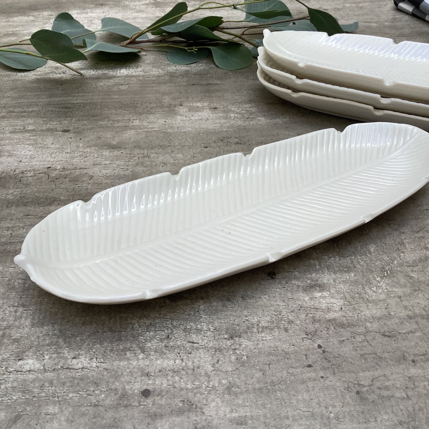 PLUMA BLANCA